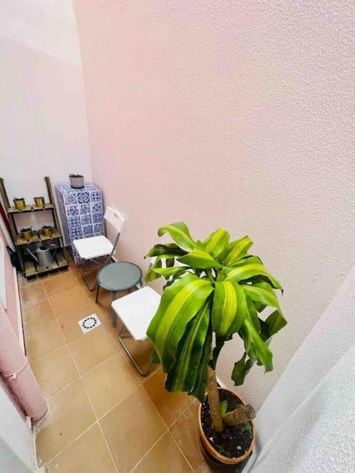Graca Home ลิสบอน ภายนอก รูปภาพ